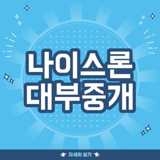 나이스론 대부중개