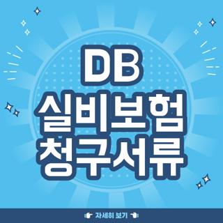 DB 실비보험 청구서류