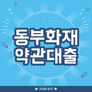 동부화재 약관대출