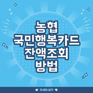 농협 국민행복카드 잔액조회 방법