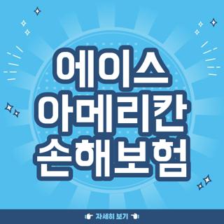 에이스 아메리칸 손해보험