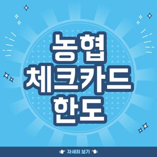 농협 체크카드 한도