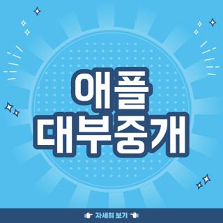 애플 대부중개