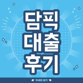 담픽 대출 후기