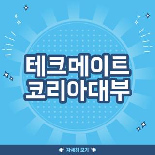 테크메이트 코리아대부