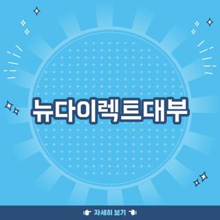 뉴다이렉트대부