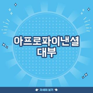 아프로파이낸셜 대부