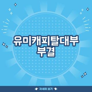 유미캐피탈대부 부결