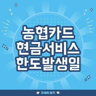 농협카드 현금서비스 한도발생일