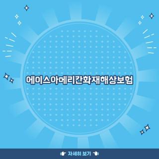 에이스아메리칸화재해상보험