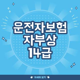 운전자보험 자부상 14급