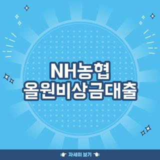 NH농협 올원비상금대출