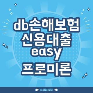 db손해보험 신용대출 easy 프로미론