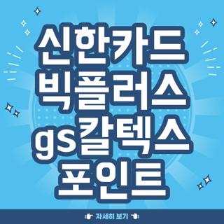 신한카드 빅플러스 gs칼텍스 포인트
