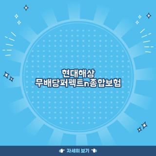 현대해상 무배당퍼펙트n종합보험